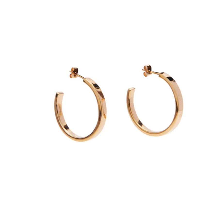 Accessories Pico | Pico S01009 London Hoops Goldplated