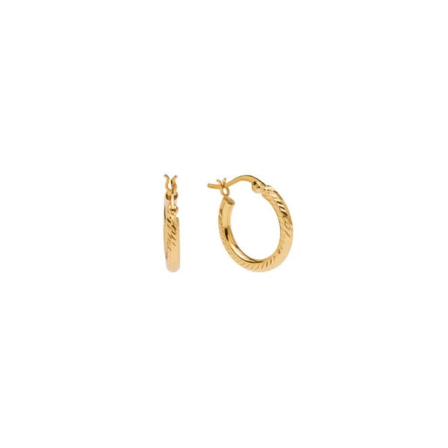 Accessories Pico | Pico Mia Small Hoop Gold Goldplated